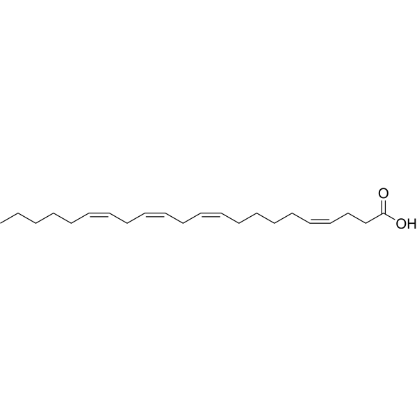 cis-4,10,13,16-Docosatetraenoic acid 122068-08-0